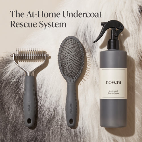 Undercoat Rescue Kit